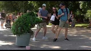 Ultimate Bushman prank. POV: You Just Embarrassed Yourself in Public