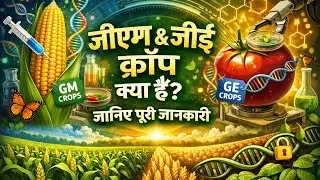 #GMCrops#GeneticModification#TransgenicCrops#GECrops #GeneticEngineering#GeneEditing#CropImprovement
