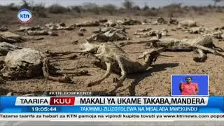 Zaidi ya watu 500,000 hatarini Mandera kadri ukame unavyozidi