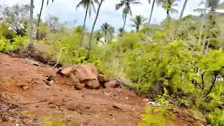 Enchanting Kerala which highlight region's backwaters tea plantations by Kochi, Alleppey, and Munnar