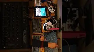 Korg MS2000R - Monday Blues #Shorts