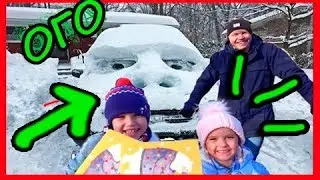 Мистер Макс новый сезон 2018 года ЕЗДА ПРОПЕЛЛЕРОМ   КОТ/ПЕС/NEWS