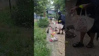 Bersukur setelah hujan sudah berhenti aku langsung meluncur memberikan makan mereka