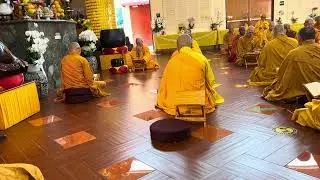Chu tang về ch&ugrave;a điều ngu bố t&aacute;t 