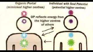 INFJ ON ORGANIC PORTALS(OPs)/NON-PLAYER CHARACTERS(NPCs)