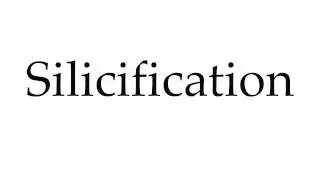 How to Pronounce Silicification