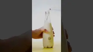 하얀술 브루잉 믹스로 만드는 무알콜 막걸리 | Non-Alcoholic Makgeolli with Hayansool Brewing Mix | Light Fermentation