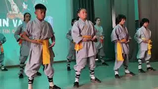 Gran Espectáculo kungfu/wushu niños grupo Shaolin Valencia