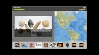 Early Learner Field Trip - Fossils