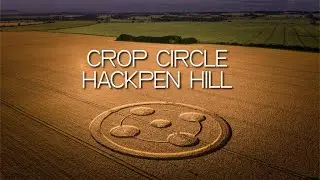 Crop Circle - Hackpen Hill - Wiltshire - Reported 22/06/25