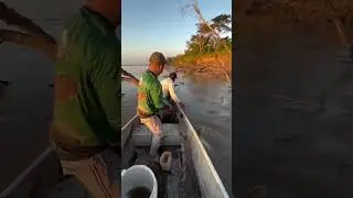 #shorts #youtubeshorts #shortvideo #viral #fyp#fishing #mancing #fishinglife#fishingvideo