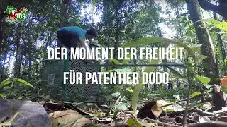 Der grosse Moment der Freiheit f&uuml;r Patentier Dodo