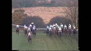 1997 Tote Credit November Handicap Inc Replay