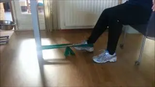Hamstringtraining