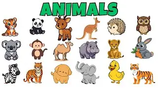 20 Animals Names for Kids | Animals Names for baby