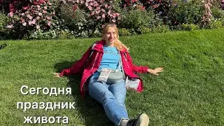 Бесплатно Наелась деликатесов Норвегия Берген Ярмарка фермерских продуктов 