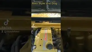 $100K AE86 Dog #shorts