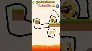 Dog rescue game level 62🎮🔔