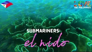 Philippine Paradise: EL NIDO unique CABBAGE CORALS, PALAWAN | Scuba Diving in Pacific Ocean | Pinoy