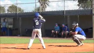 PBUSA Max Bat