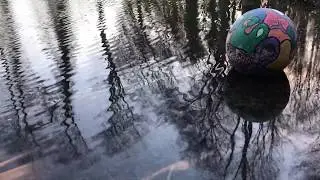 Water Reflection