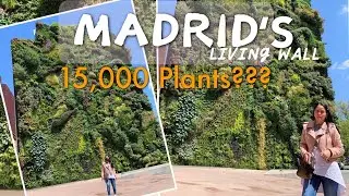 Living Wall of MADRID,SPAIN l THE CAIXA FORUM
