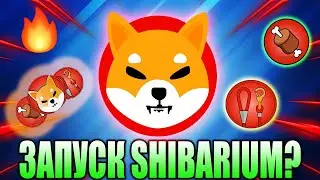 *СРОЧНО* Запуск Бета Версии Shibarium На Этой Неделе? - Ожидаем Памп Shiba Inu
