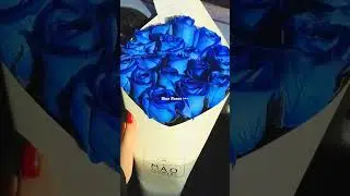 Blue Roses 🌹 #bluerose #blueroses #rose #roseedits #shorts #ytshorts #viralshorts #12yourheart