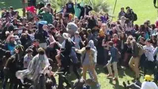 Harlem Shake (Pali Edition)