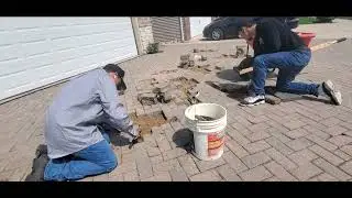 Front and Back Landscape make over and brick driveway, patios and sidewalks repair