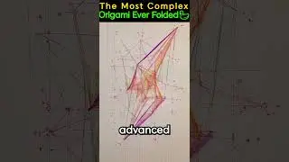 #shorts  The Most Complex Origami Ever Folded🦢 #themost #facts #funfacts