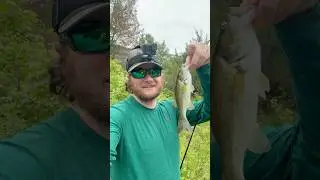 #dink that saved the #skunked A Ton on the Way!! #fishing #fyp #shorts #bassfishing #gopro #fun #yes