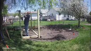 Chicken Coop with run, Day 3