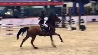 Mojito (malito de reve) 6y FSA finale