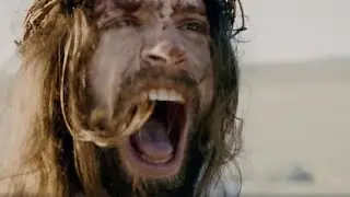 Sick Mystic - Party Animal (Official Music Video)