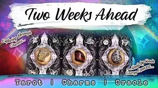 🌈 Pick A Card 🔮 ✶ Your Next Two Weeks ✶ 🦋 Love, Career, Truth & Purpose ✶ Bits & Bobs Divination