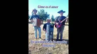 Como es el amor- los Gavilanes de la cumbia 