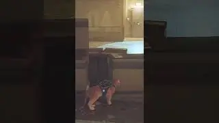 منين أندوز 🧐