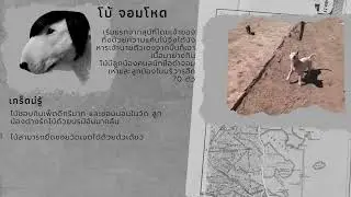 sitthirhat kongphan work9