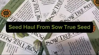 Seed Haul From Sow True Seed