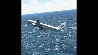 plane landed in bad weather 171