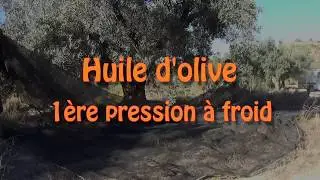 Huile d'olive 1&egrave;re pression &agrave; froid ... comment fait-on &ccedil;a?