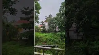 Therapy sound of dawn rainfall *Peace* *mindful* *introvert*
