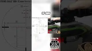 Rifle Scope Reticle Explained: Christmas Tree Style #shorts