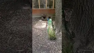 #семейныйвлог #animals #семья #fishing #cat #дети #funny #влог