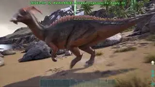 ARK: Death Compilation