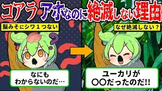 【衝撃】アホすぎるコアラ、なのになぜ絶滅しない？“ある理由”がヤバい【ずんだもん│ゆっくり解説】