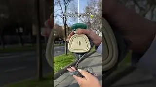Dog poop scoop