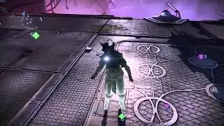Destiny full desolate set with emote