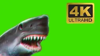 Glitch Shark Attack - Free Green Screen Effects 4K DOWNLOAD